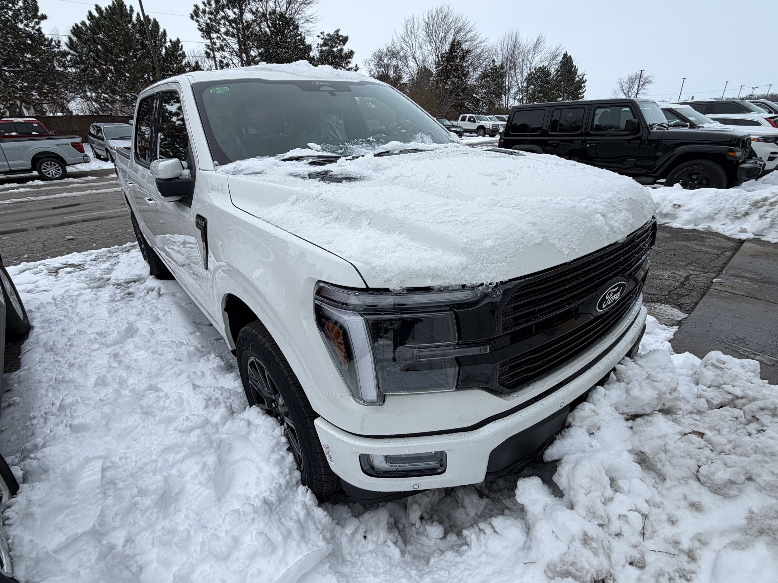2025 Ford F-150 Platinum photo 2