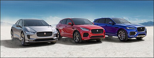 Jaguar Lineup