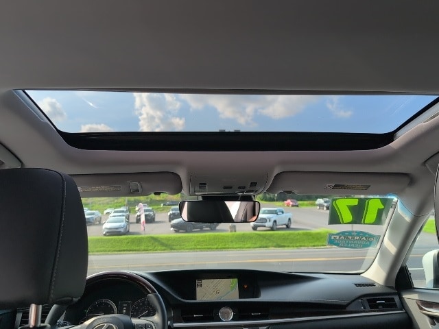View 25