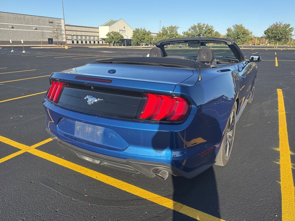 2022 Ford Mustang EcoBoost Convertible photo 4