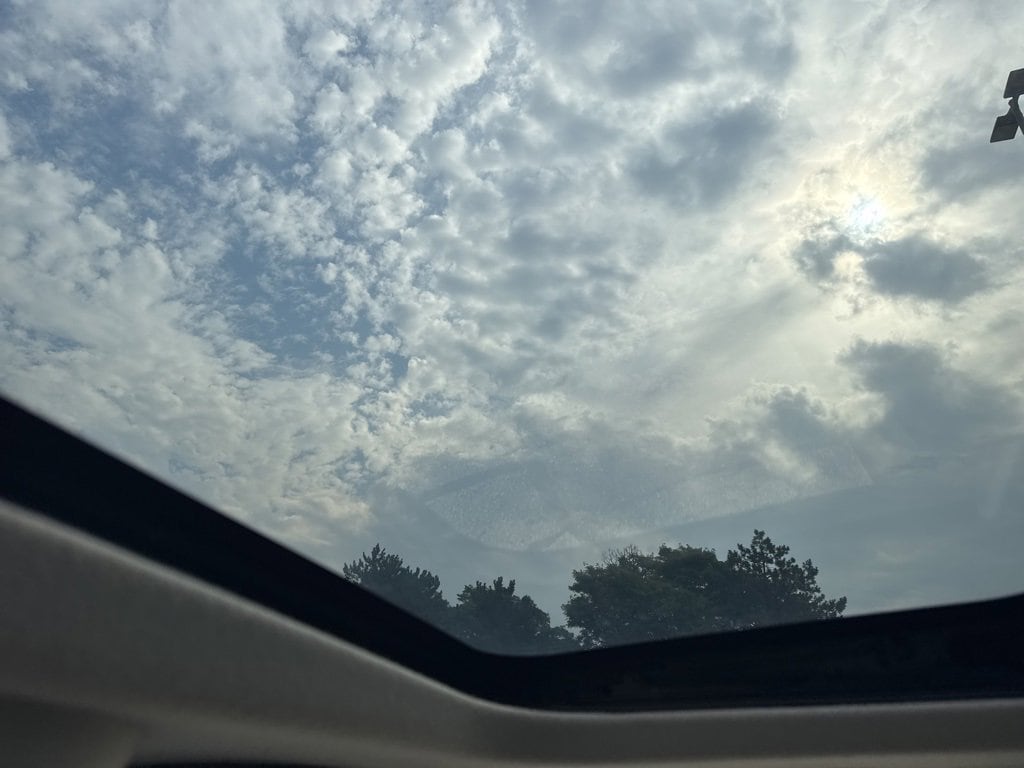 View 19