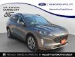 Used 2022 Ford Escape SEL SUV