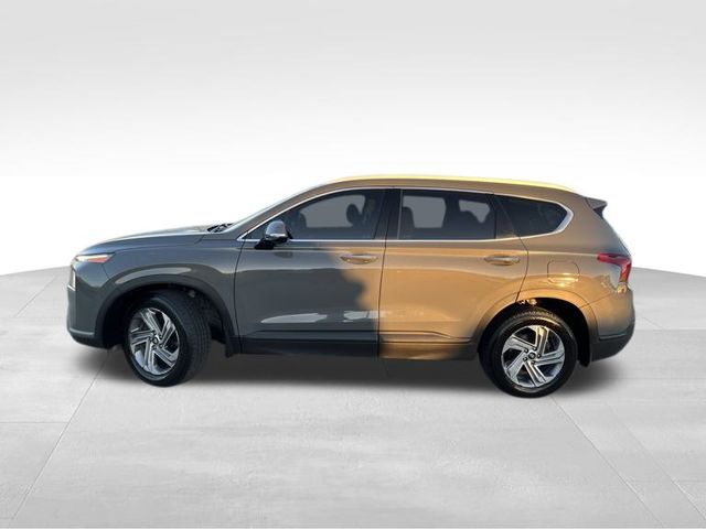 2023 Hyundai Santa Fe SEL photo 3