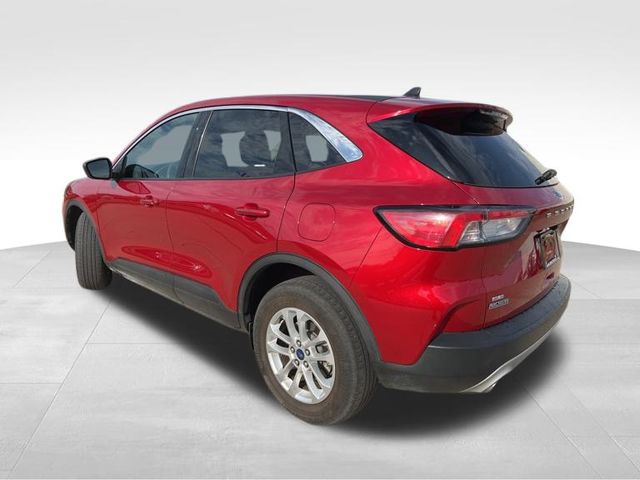2022 Ford Escape SE photo 4