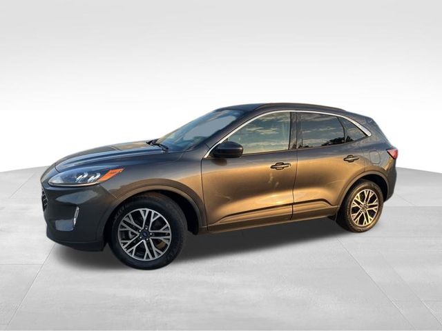 2020 Ford Escape SEL photo 2