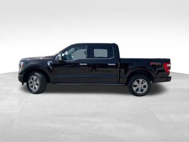 2021 Ford F-150 Platinum photo 2