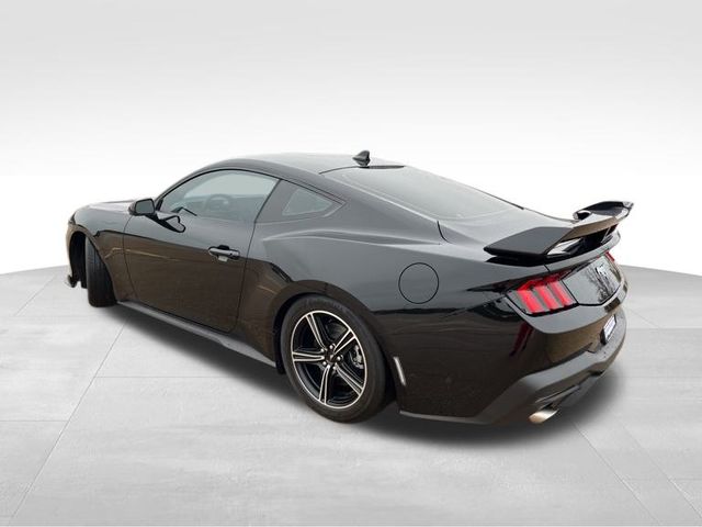 2024 Ford Mustang EcoBoost photo 3