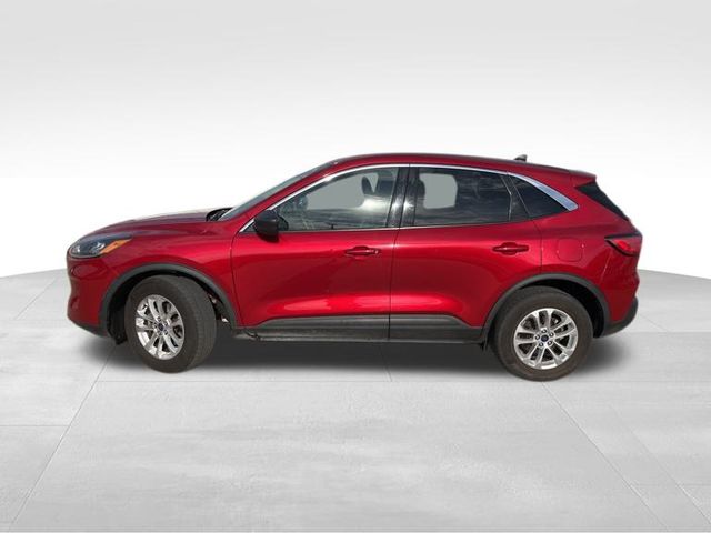 2022 Ford Escape SE photo 3