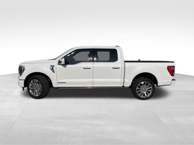 2023 Ford F-150 Limited photo 3