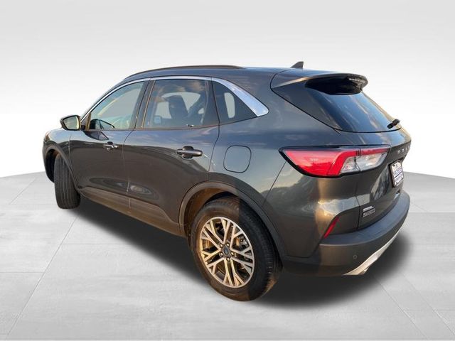 2020 Ford Escape SEL photo 4