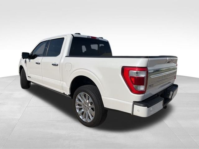 2023 Ford F-150 Limited photo 4