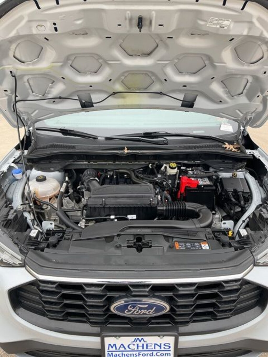 Used 2025 Ford Escape ST-Line SUV