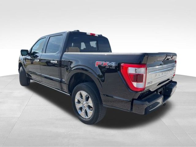 2021 Ford F-150 Platinum photo 3