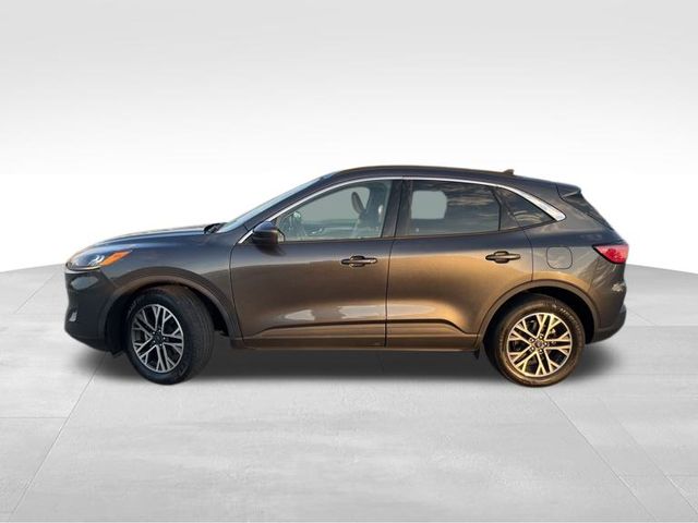 2020 Ford Escape SEL photo 3