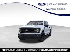 2025 Ford F-150 STX Truck