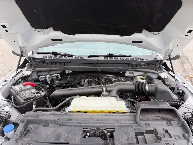 Photo 42