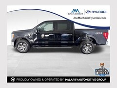 2023 Ford F-150 XLT Truck