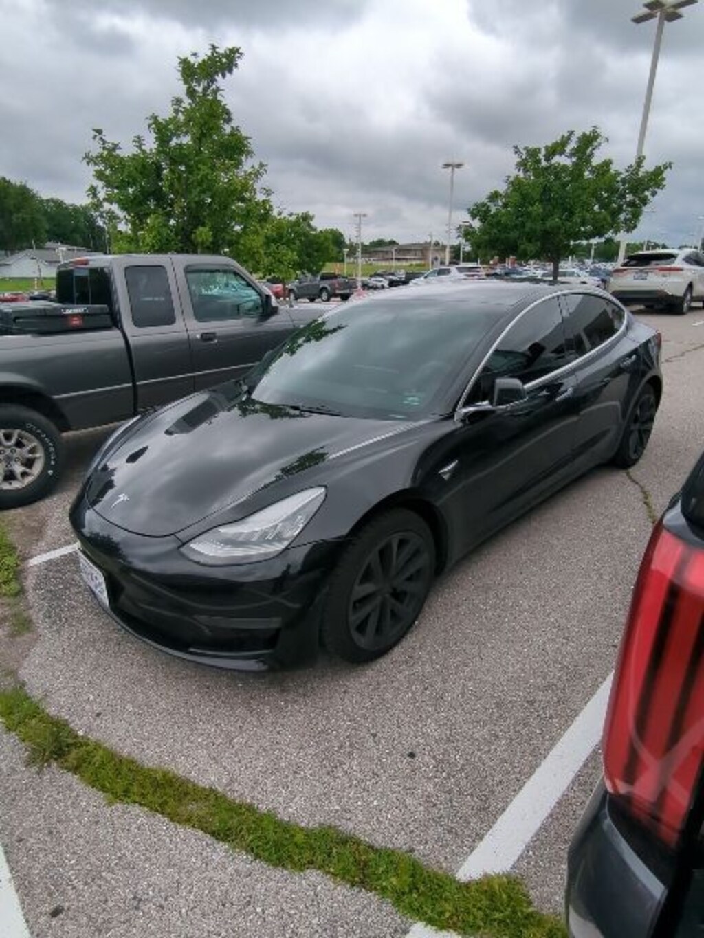 Used 2019 Tesla Model 3 Long Range Sedan