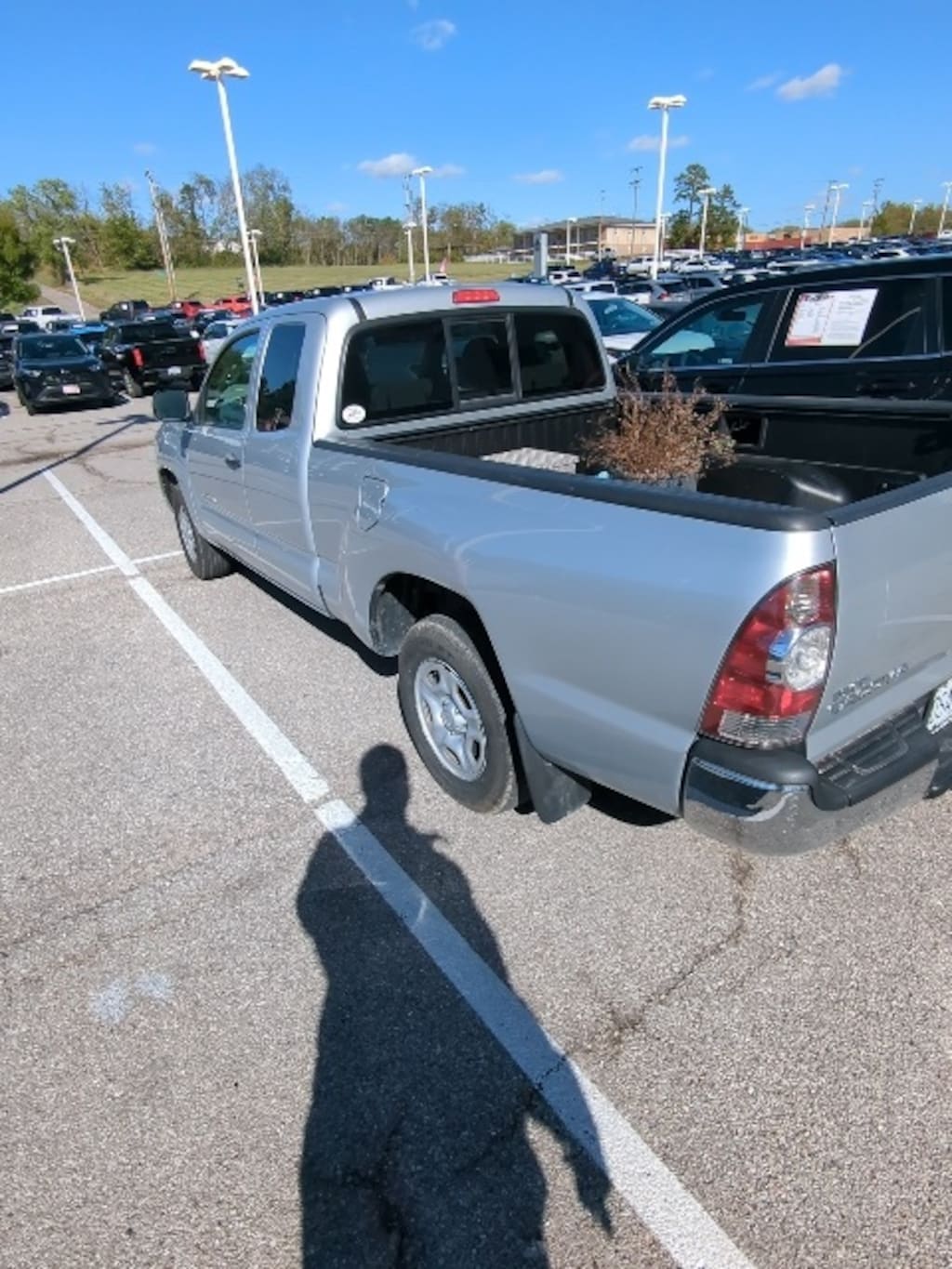 Used 2009 Toyota Tacoma Base Truck