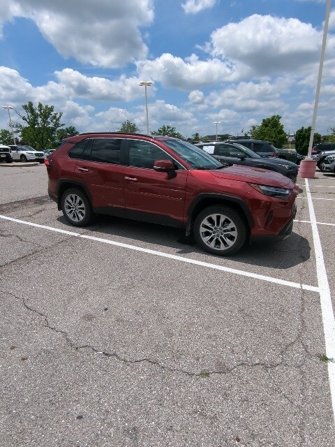 2025 Toyota RAV4 Limited photo 4