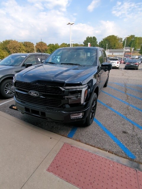 2025 Ford F-150 Platinum photo 3