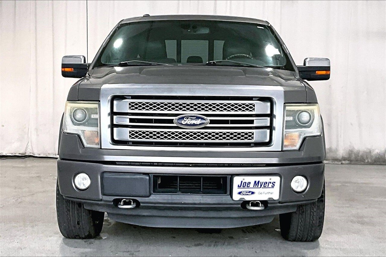 2014 Ford F-150 Platinum photo 3