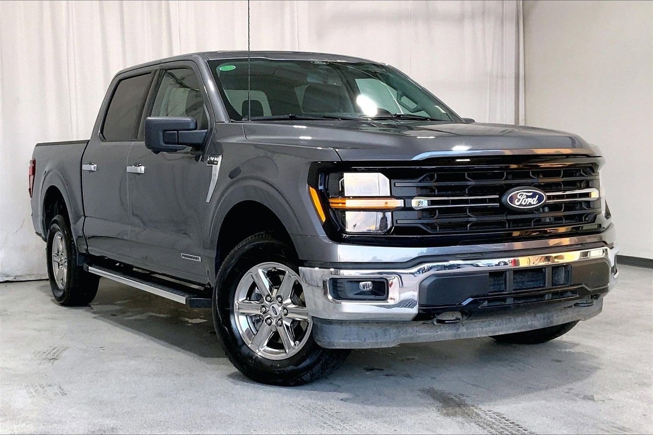 2024 Ford F-150 XLT's photo