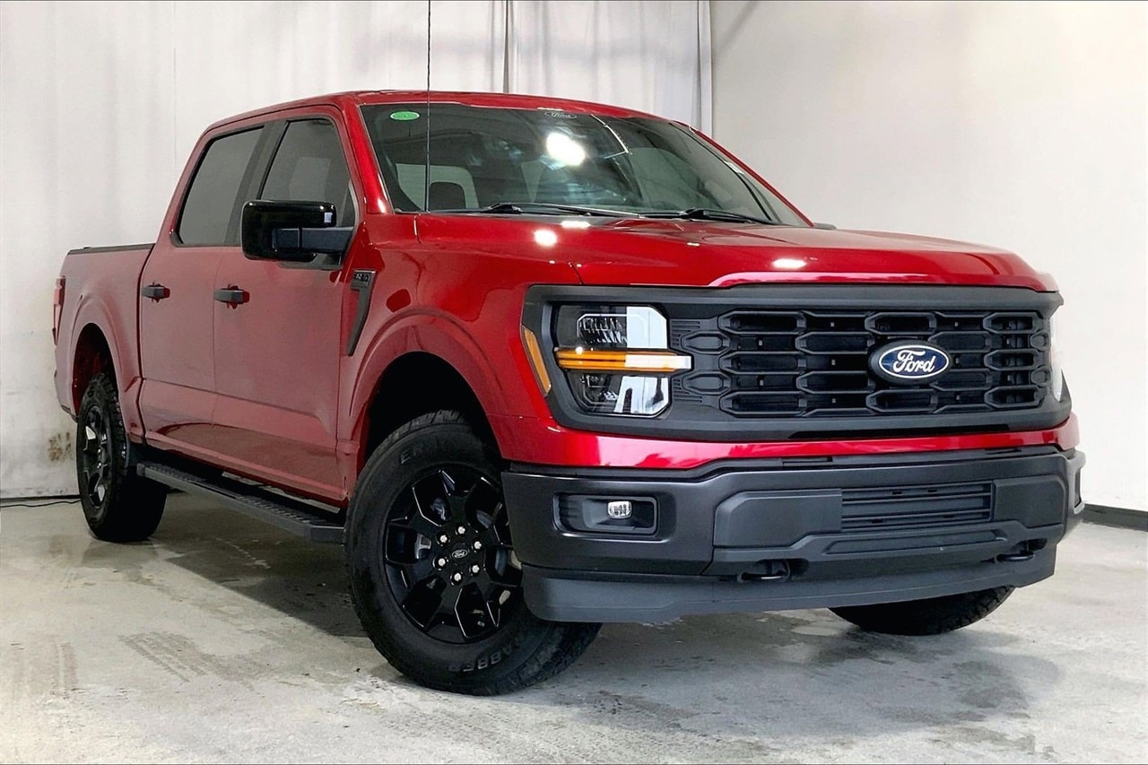 2024 Ford F-150 STX's photo