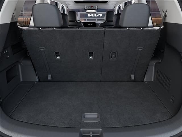 New 2025 Panthera Metal Kia EX image 19