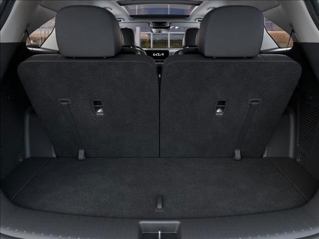 New 2025 Panthera Metal Kia SX image 19