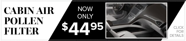 Cabin Air Filter Coupon, Houston
