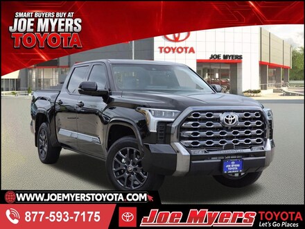 2025 Toyota Tundra Platinum Truck