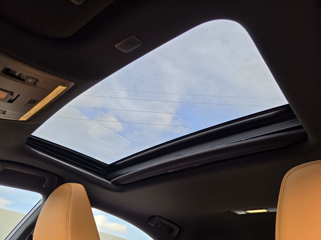 Used 2024 Iridium Lexus 300 image 28