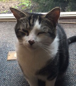 Staff member RIP Clair from ID_a0925511c196