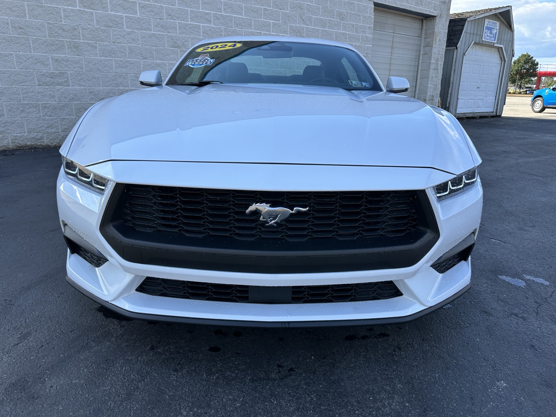 2024 Ford Mustang EcoBoost Premium photo 3