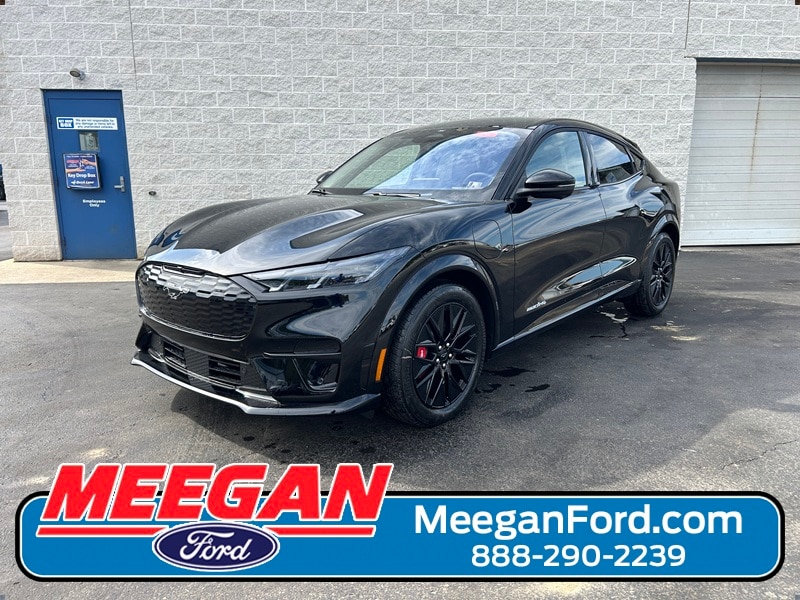 2025 Ford Mustang Mach-E Premium AWD's photo