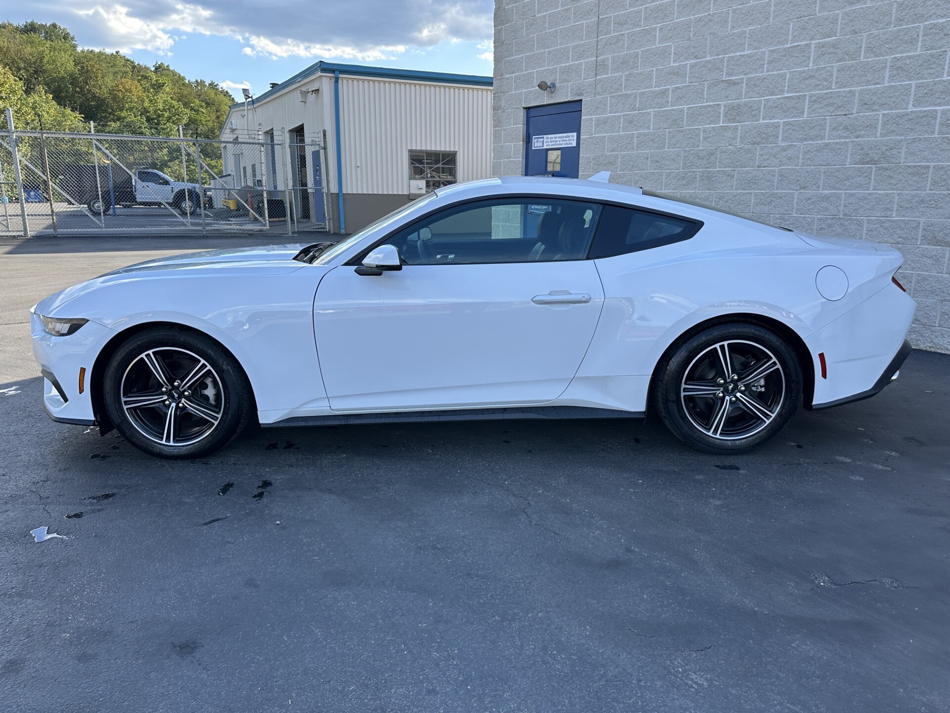 2024 Ford Mustang EcoBoost Premium photo 4