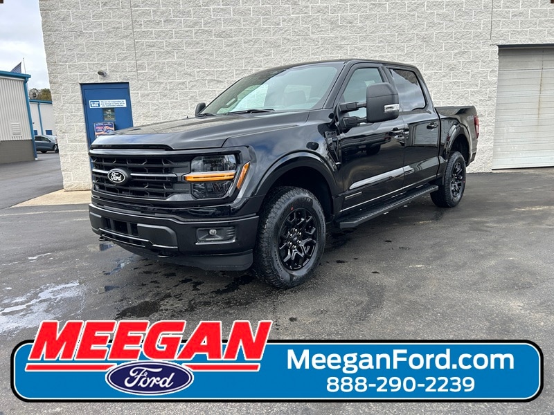 2025 Ford F-150 XLT's photo