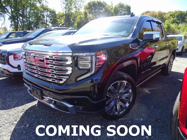 2023 GMC Sierra 1500 Denali Denali