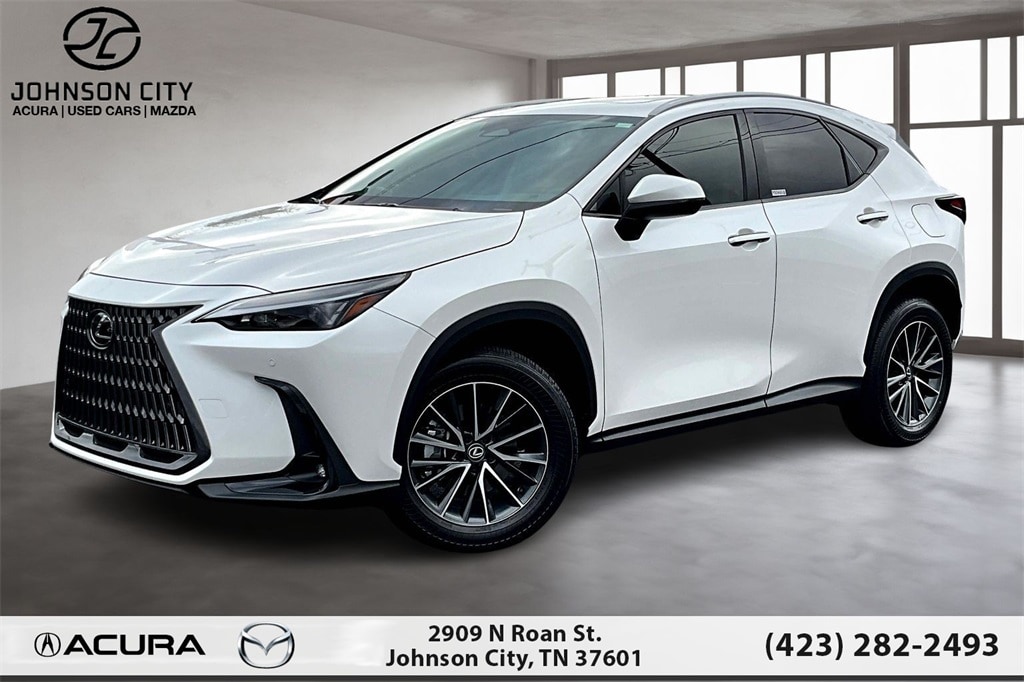 2025 Lexus NX 350's photo