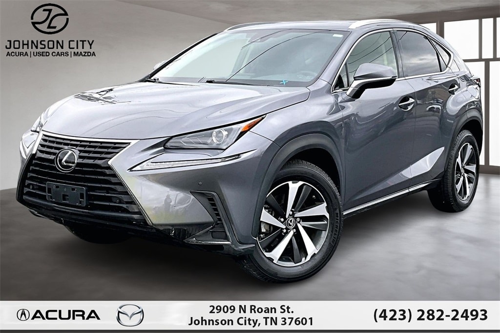 2020 Lexus NX 300's photo