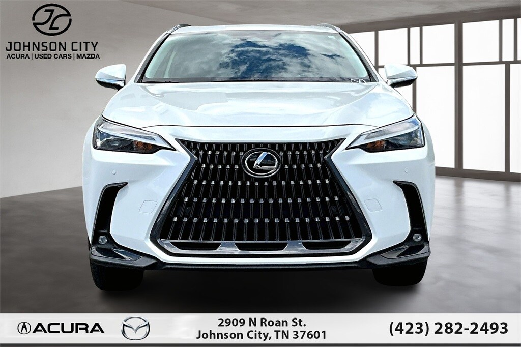 2022 Lexus NX 350h Premium photo 3