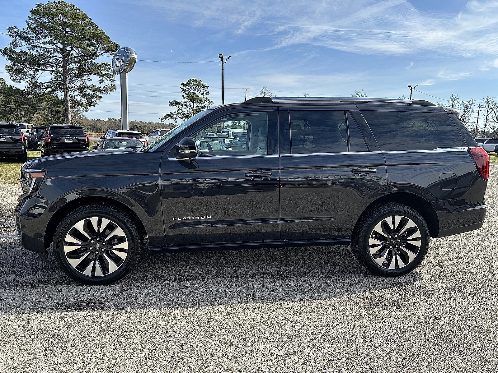 2025 Ford Expedition Platinum 4x4's photo