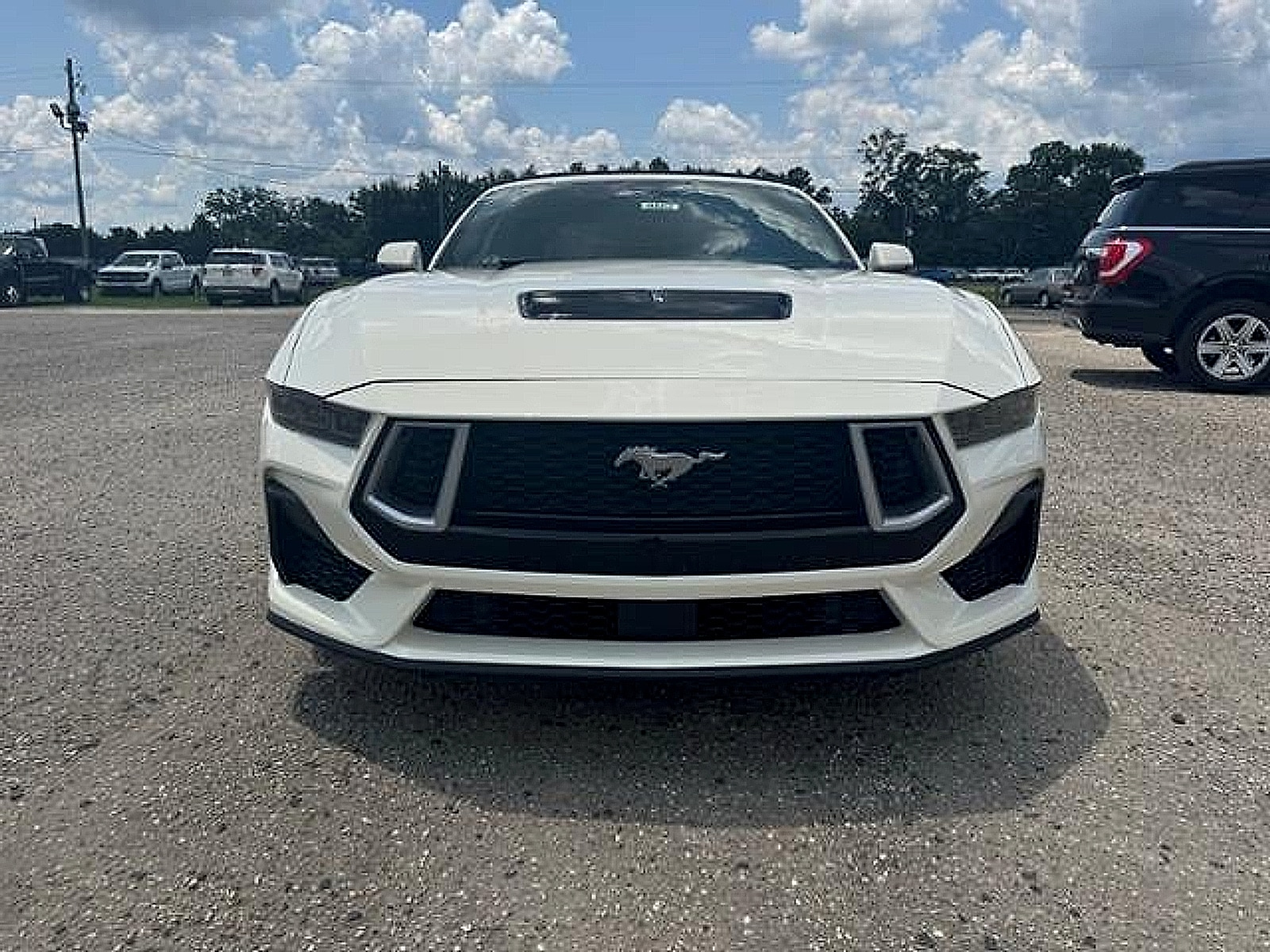 2025 Ford Mustang GT Premium Convertible - Photo 3