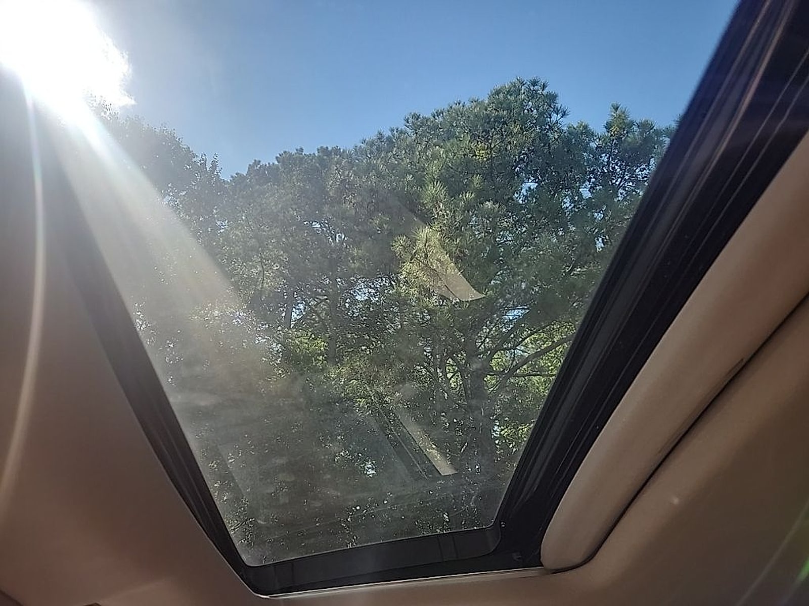 View 14