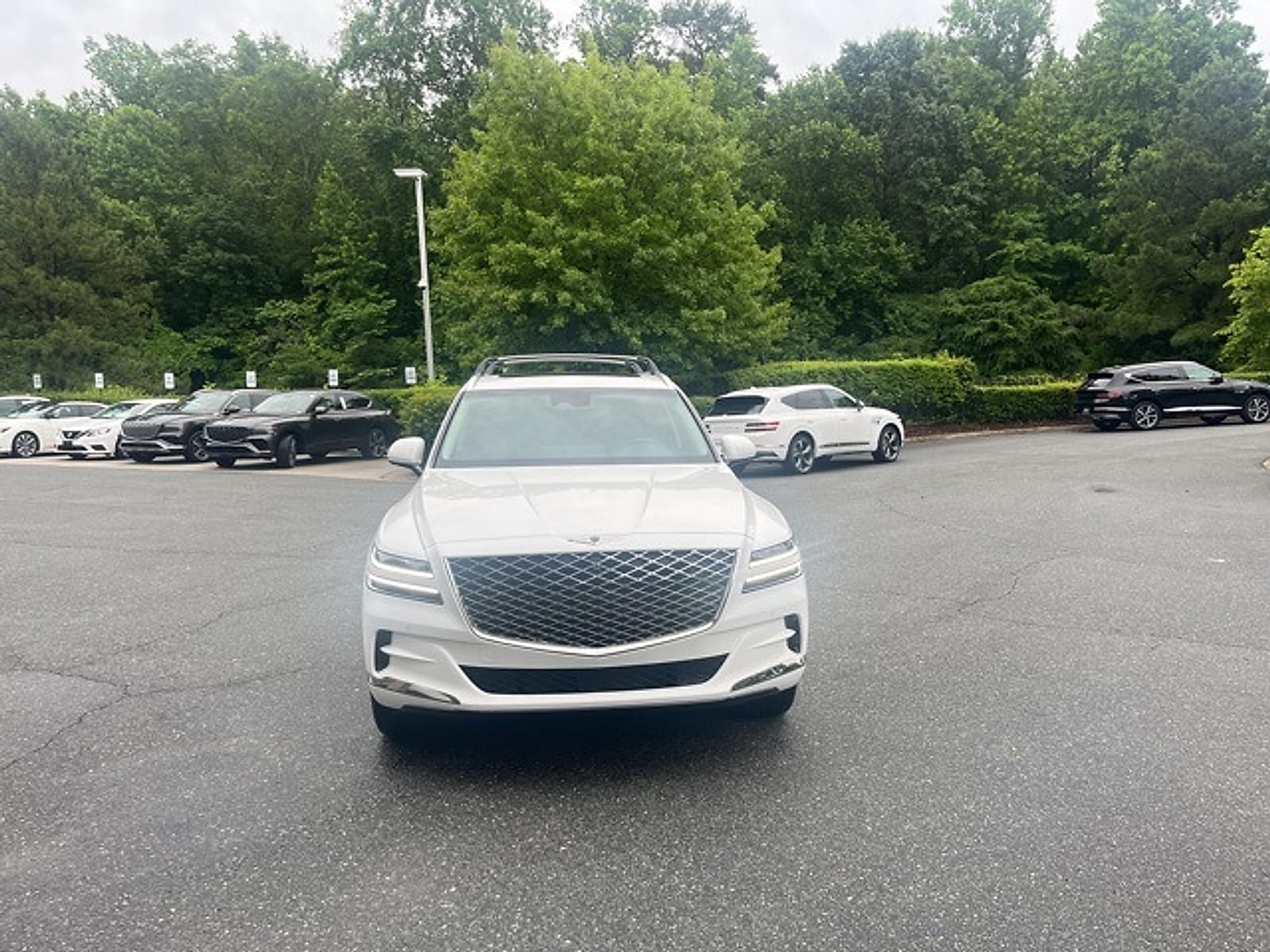 Certified 2024 GENESIS GV80 Standard with VIN KMUHBDSB5RU176760 for sale in Cary, NC