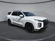 New 2025 Hyundai Palisade Calligraphy Night Edition AWD SUV
