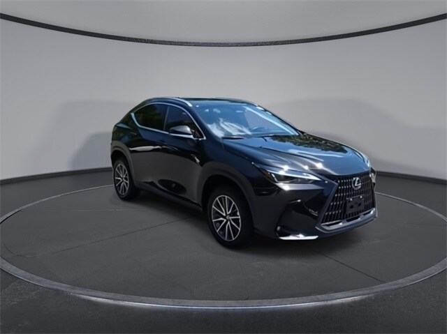 2024 Lexus NX 350h photo 2