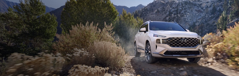 Hyundai Motor Finance (HMF)