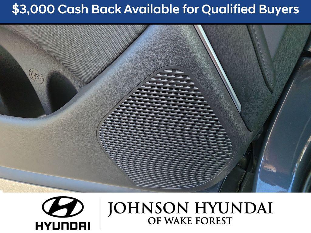 2026 Hyundai Palisade Calligraphy - Photo 40